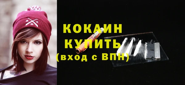 твердый Майский