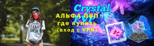 твердый Майский