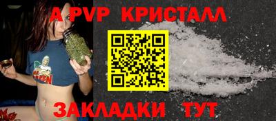 тгк Кингисепп
