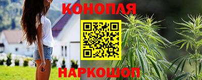 тгк Кингисепп
