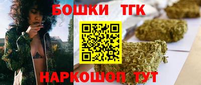 тгк Кингисепп