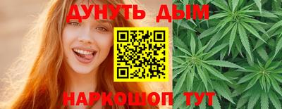 тгк Кингисепп