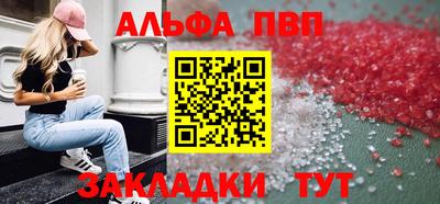 тгк Кингисепп